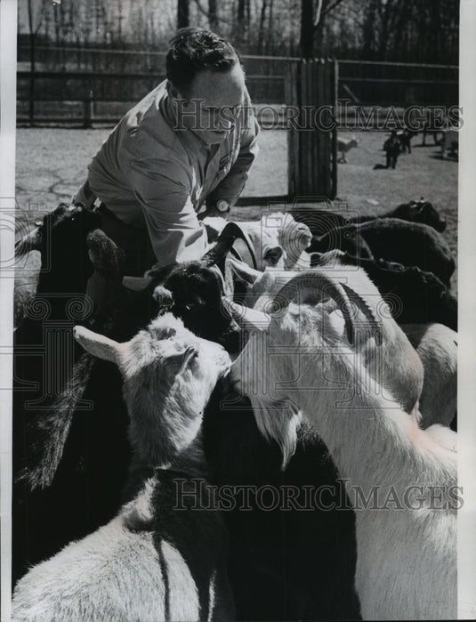 1974 Press Photo Bruce Davis Feeds Goats At Milwaukee Children's Zoo - mjb57409 - Historic Images
