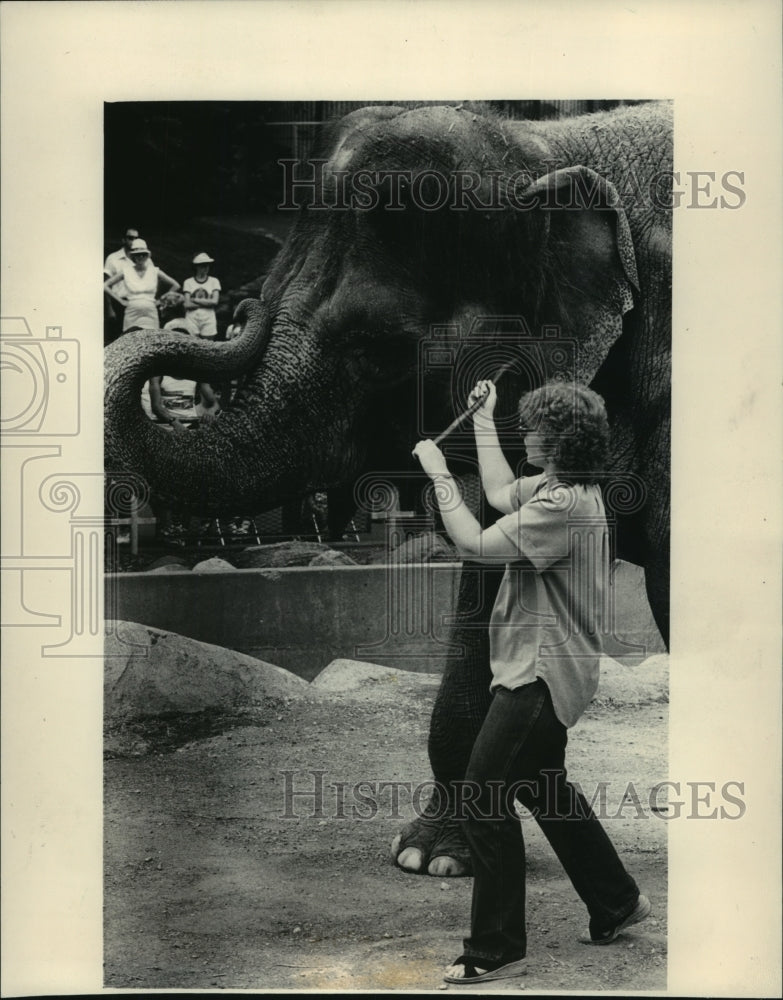 1983 Press Photo Milwaukee Zoo Elephants Get Groomed by Mary Kay Neuroth - Historic Images