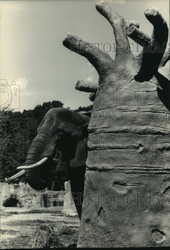 1987 Press Photo Milwaukee Zoo Elephant Resembles his Terrain - mjb57584 - Historic Images