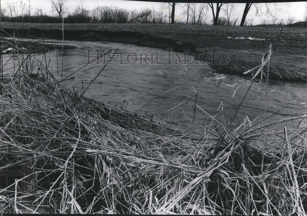 1979 Oak Creek shows signs of erosion-Historic Images