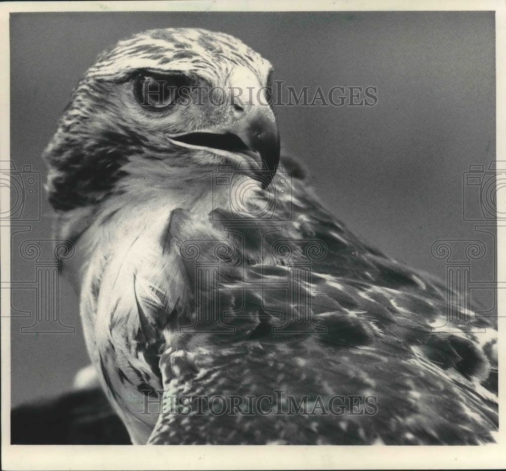 1983 Press Photo - mjb58227 - Historic Images