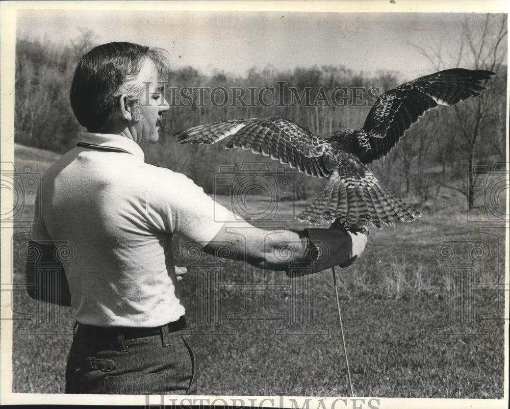 1981 Press Photo Master Falconer Lyle E. Ostrander prepared to release a hawk. - Historic Images