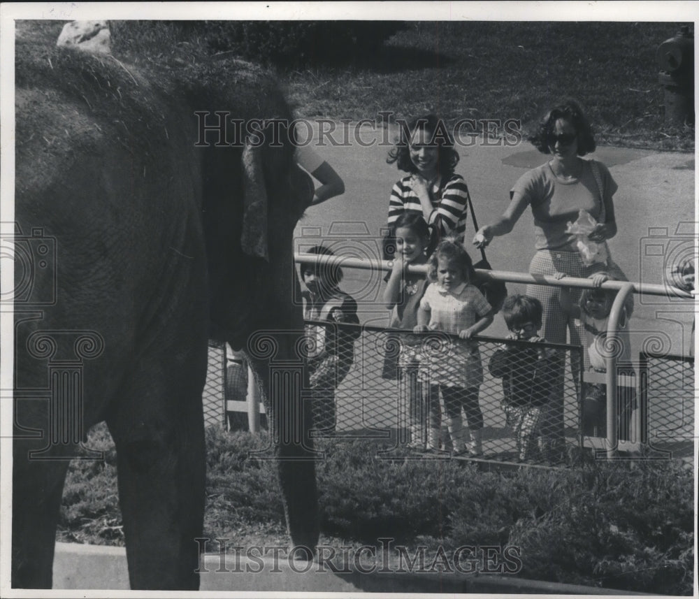 1977 Press Photo Milwaukee Children&#39;s zoo - mjb58308 - Historic Images