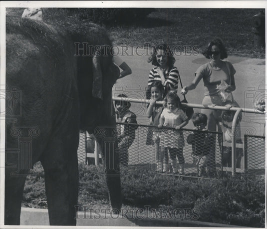 1977 Press Photo Milwaukee Children's zoo - mjb58308 - Historic Images