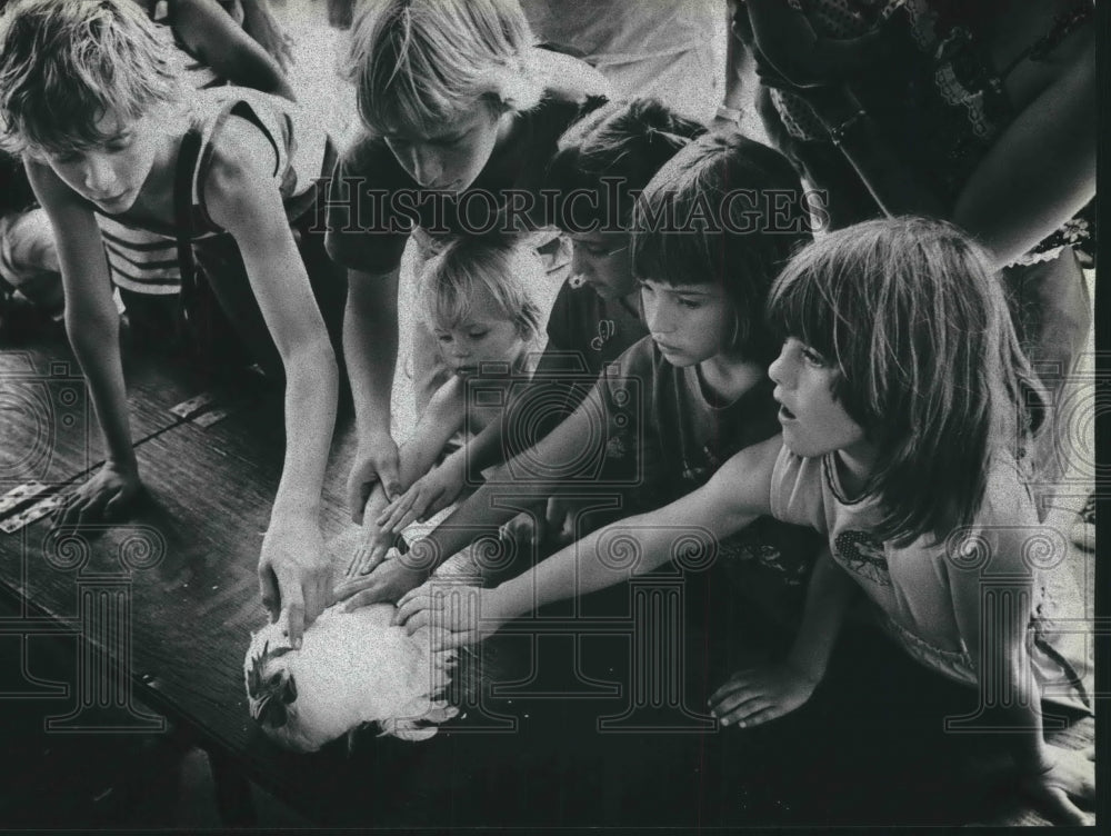 1979 Press Photo Youngsters bather around rooster at Milwaukee Children&#39;s Zoo - Historic Images