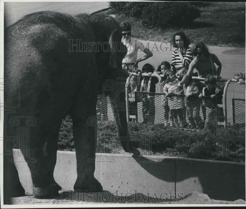 1977 Press Photo Elephant at Milwaukee children&#39;s zoo - mjb58317 - Historic Images