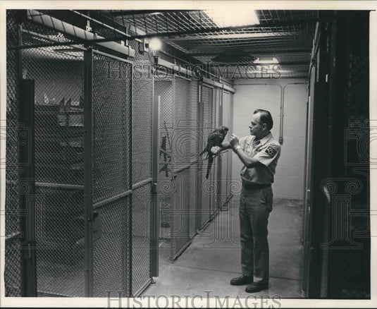 1984 Milwaukee Zoo Aviary fallout shelter is bird training facility - Historic Images