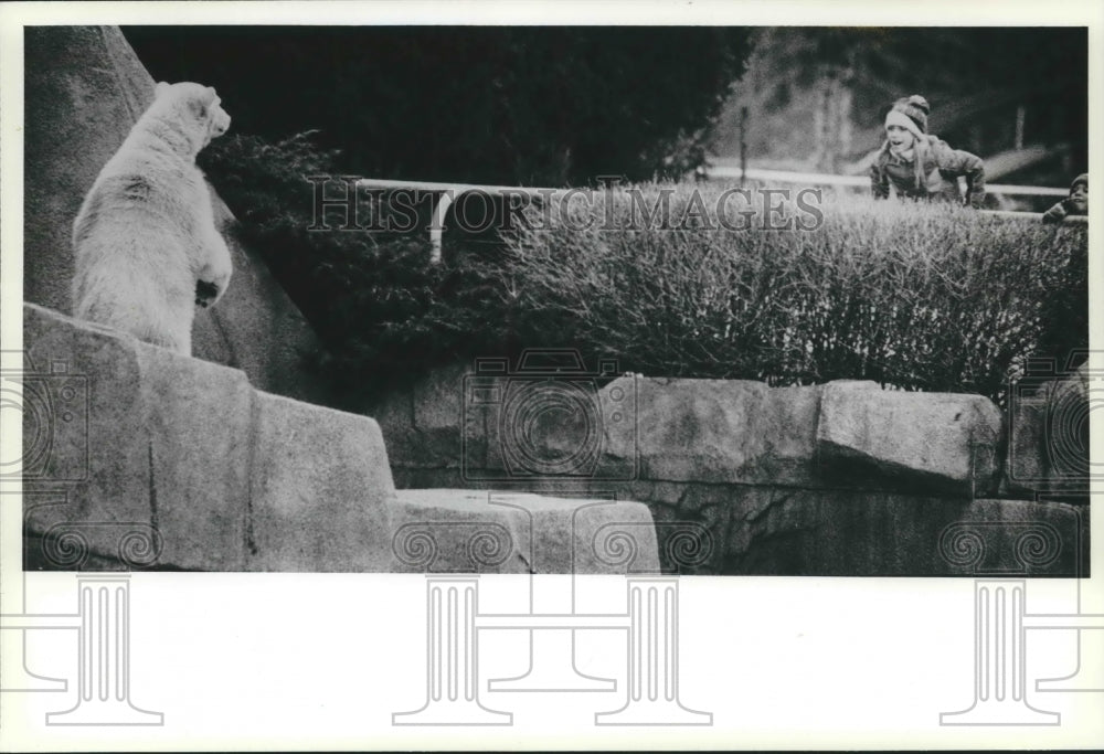 1982 Press Photo Tonawanda Elementary school visits polar bears at Milwaukee Zoo - Historic Images