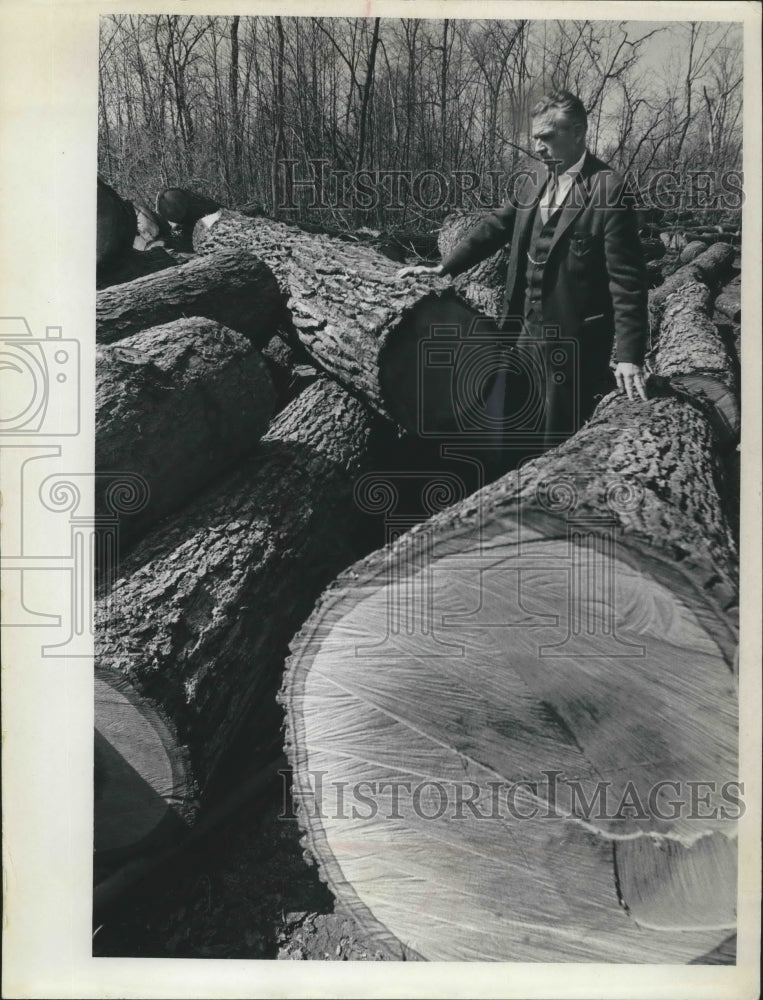 1970 Press Photo Manager of Parks Howard Gregg Examines Logs At Root River - Historic Images