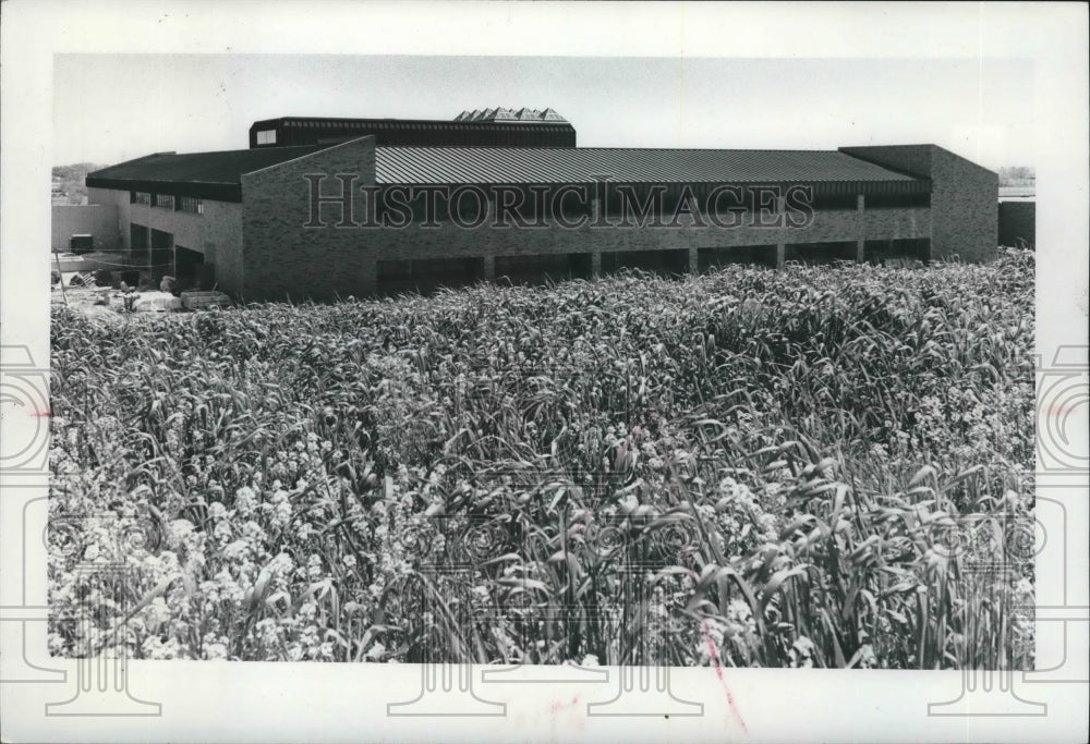 1976 New south campus, Milwaukee Area Technical College-Historic Images