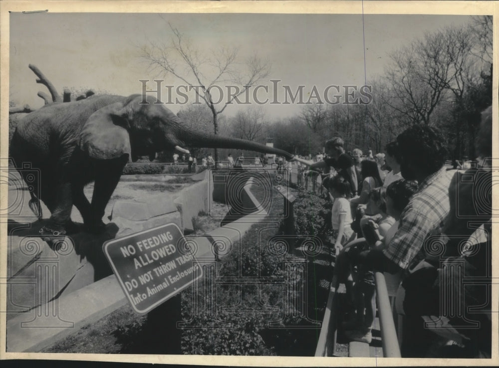 1986 Visitors Unlawfully Feed Elephant at the Milwaukee County Zoo - Historic Images