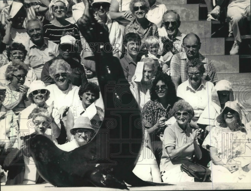 1987 Sea Lion Show at the Milwaukee County Zoo in Wisconsin - Historic Images