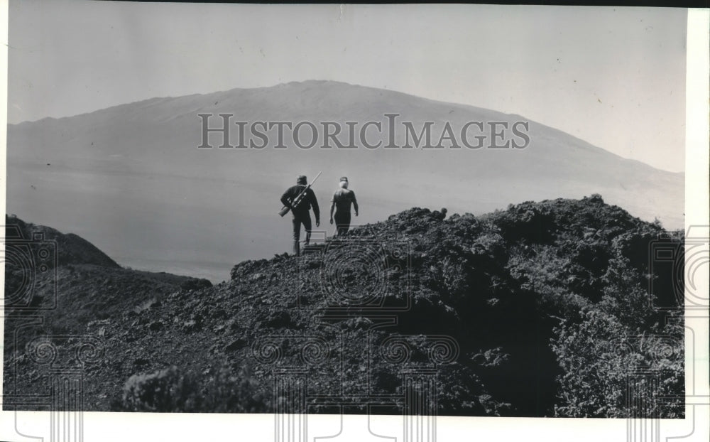 1988 Terry Koper, Eugene Ramos search wild goats, Mauna Loa Hawaii, - Historic Images