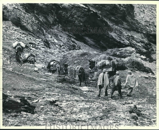 1980 Press Photo Pakistani People and Their Donkeys In the Landi Kotal Region - Historic Images