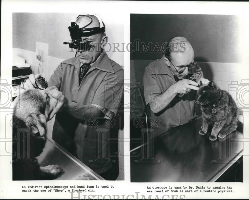1981 Press Photo Raymond G. Pahle, Milwaukee veterinarian, examines dog and cat-Historic Images