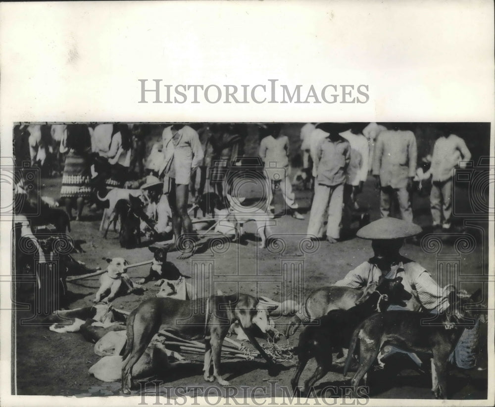 1942 Press Photo Philippine, Igorots pictured at dog market in Baguio - Historic Images
