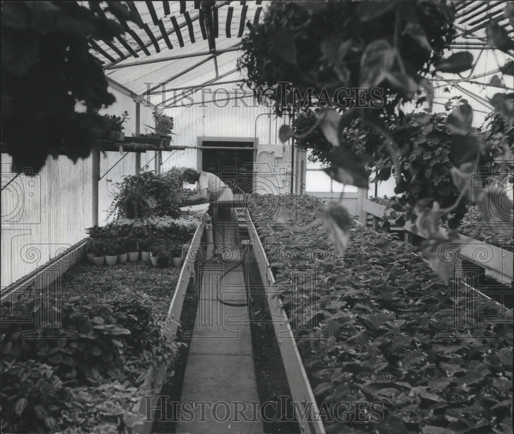 1976 Press Photo One of Goodwill&#39;s therapeutic greenhouses - mjb66186 - Historic Images