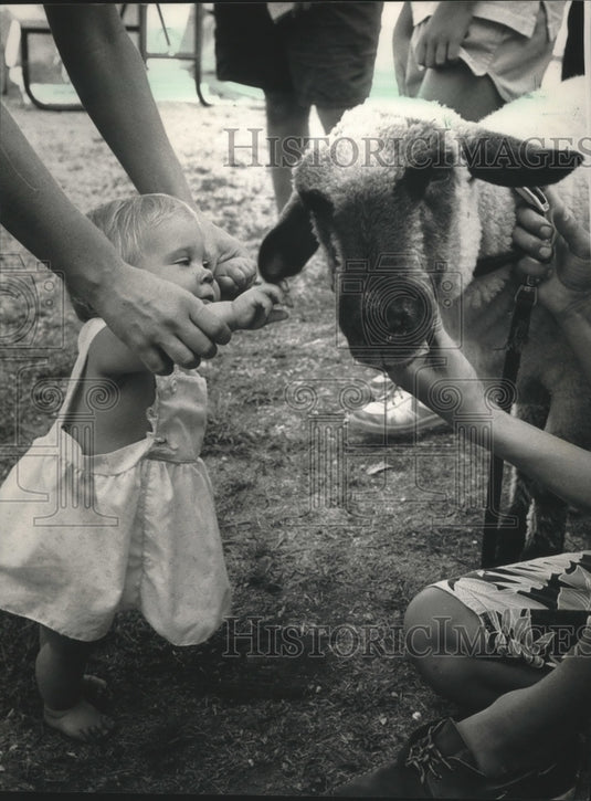 1988 Press Photo Amanda Aasen Pets Sheep At On Oconomowoc's Village Green - Historic Images
