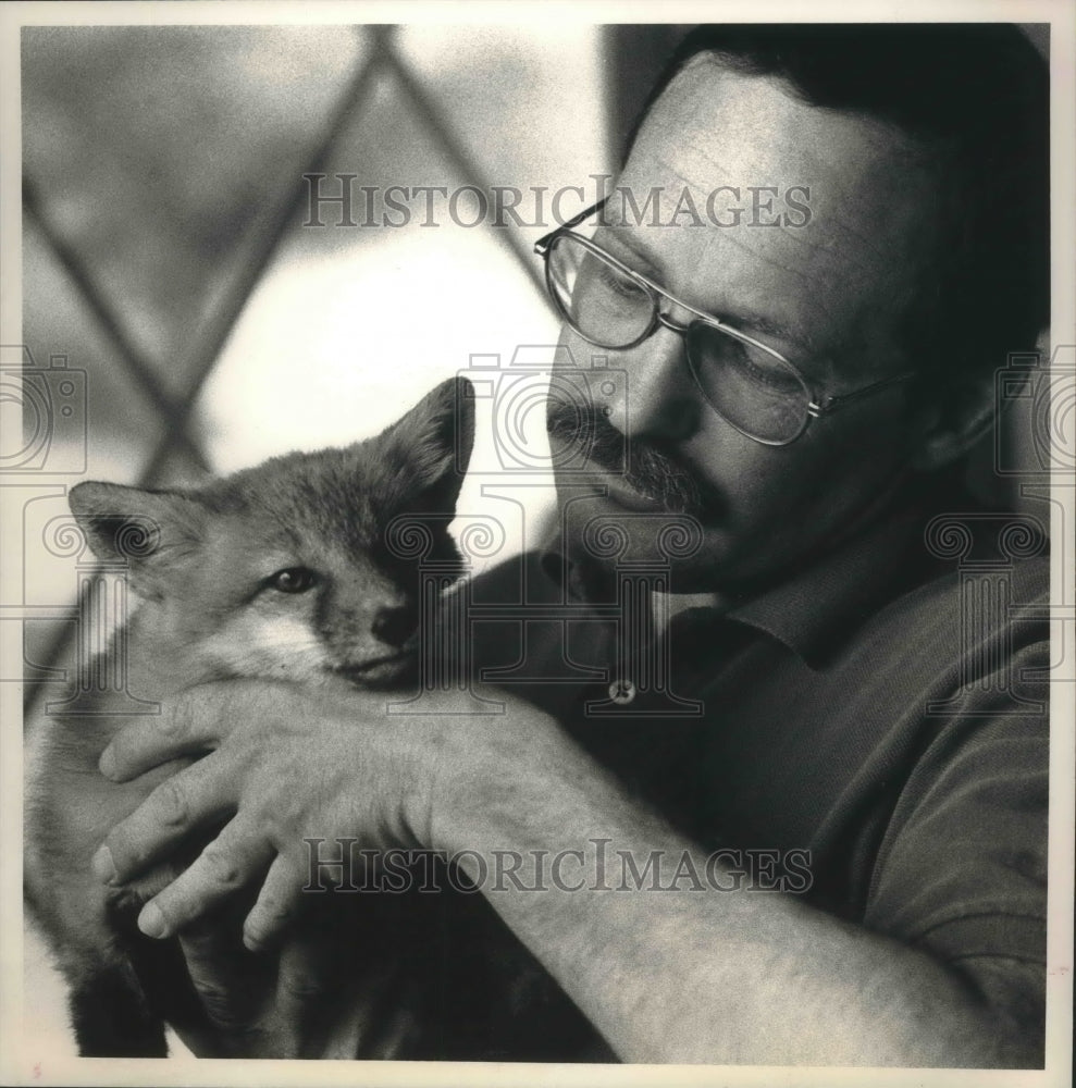 1989 Press Photo Terry Koper holds dazed fox after hit by a truck. Minocqua - Historic Images