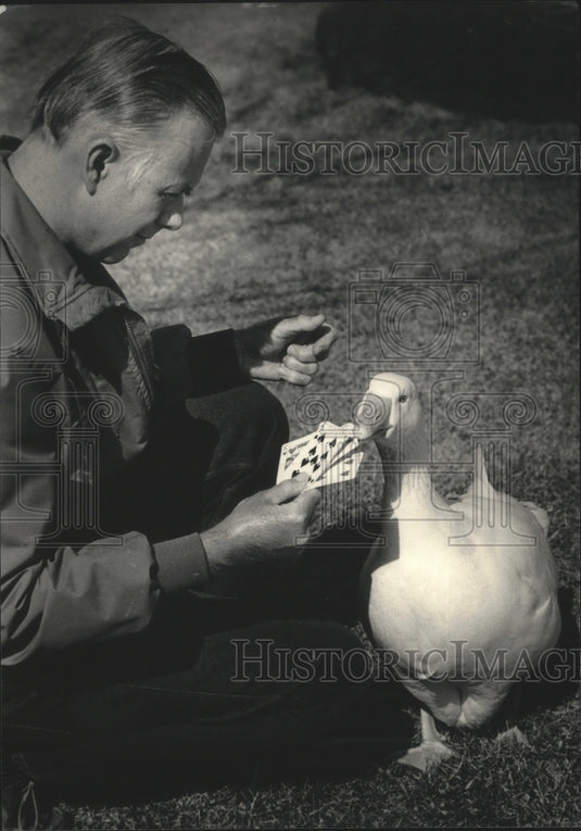 1987 Anthony Drew and trained goose Nugget picking card from hand - Historic Images