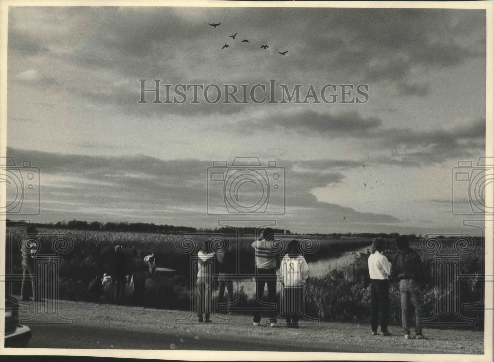 1984 Onlookers watching Canada geese at Horicon Marsh, Wisconsin. - Historic Images