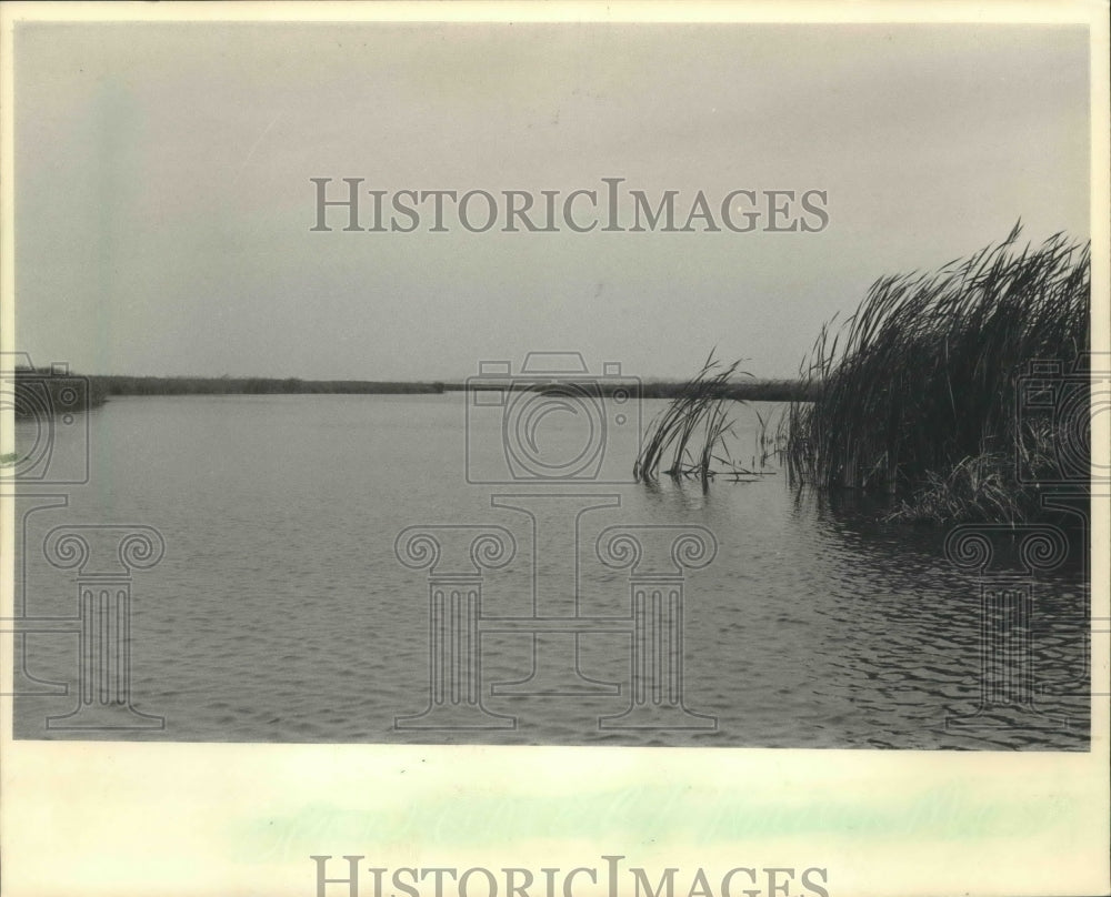 1986 Press Photo Waterfowl and fishing to improve at Horicon Marsh - mjb69175 - Historic Images