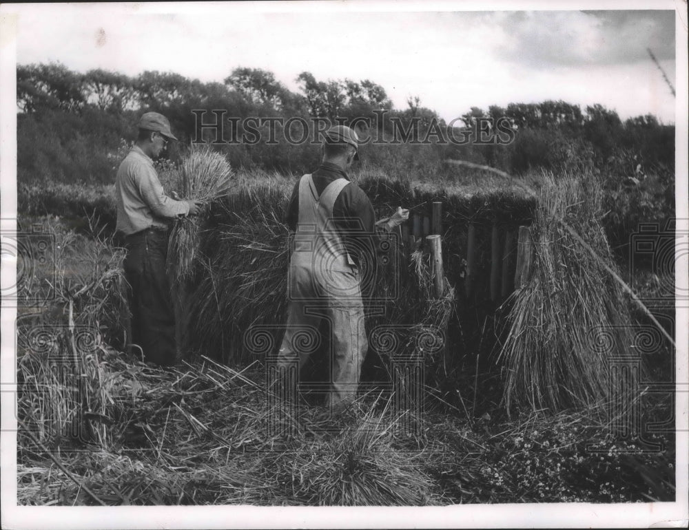 1956 Press Photo Horicon marsh, Wisconsin - mjb69204 - Historic Images