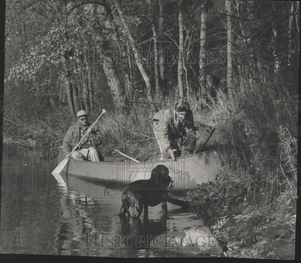 1952 Press Photo Labrador retrieves duck to Mel Ellis Wisconsin's Flambeau River - Historic Images