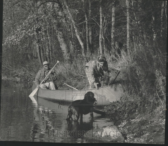 1952 Press Photo Labrador retrieves duck to Mel Ellis Wisconsin's Flambeau River - Historic Images