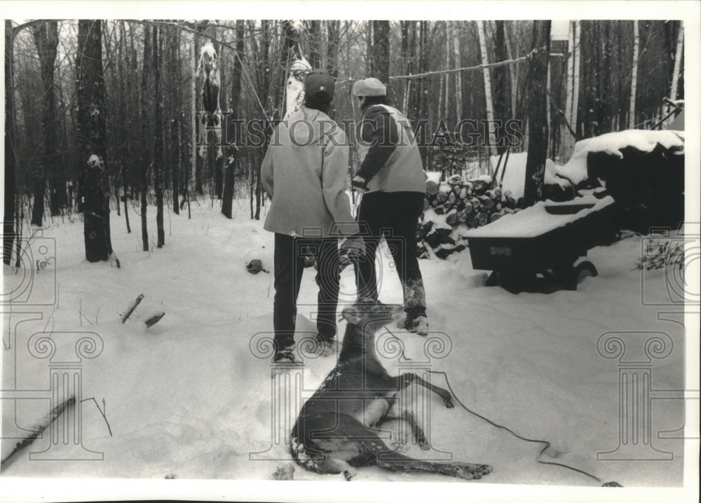 1992 Press Photo Hunters drag deer on opening day last season Wisconsin - Historic Images