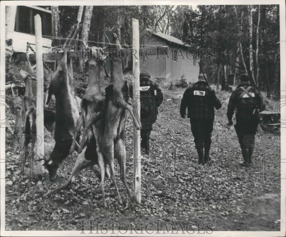 1954 Press Photo The Hunters Return To The Shack After They Got The Deer - Historic Images