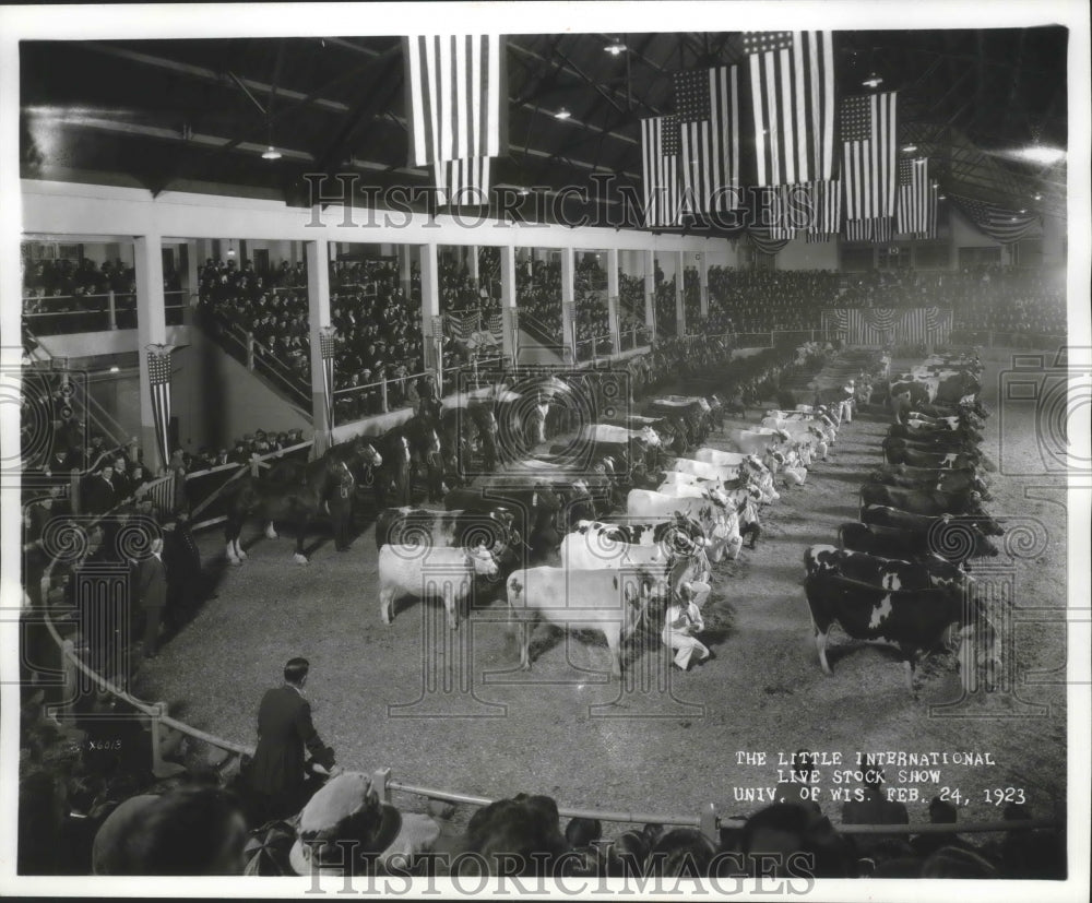 1923 Press Photo Little International Live Stock Show at University, Wisconsin. - Historic Images