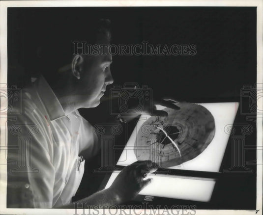 1960 Press Photo Scientist at Institute of Paper Chemistry examining tree disk - Historic Images