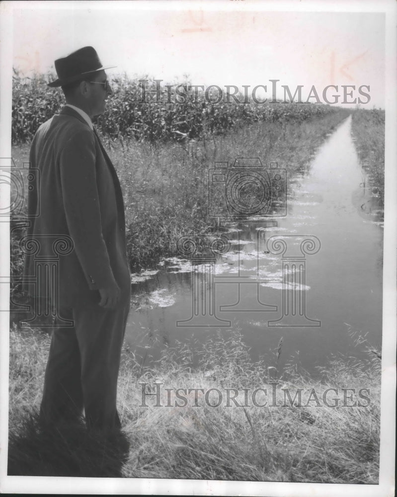 1956 Press Photo Waterfowl returned early to Horicon Marsh forcing spring work. - Historic Images