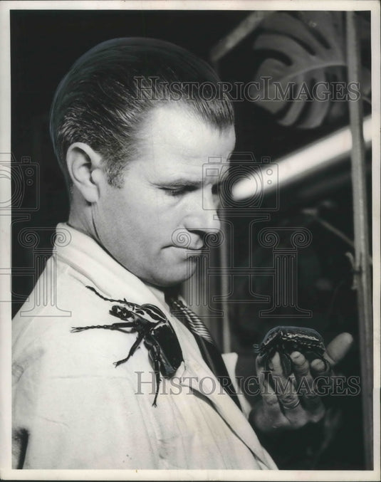 1952 Rolland Planchard, with beetles, Paris Jardin des Plantes-Historic Images