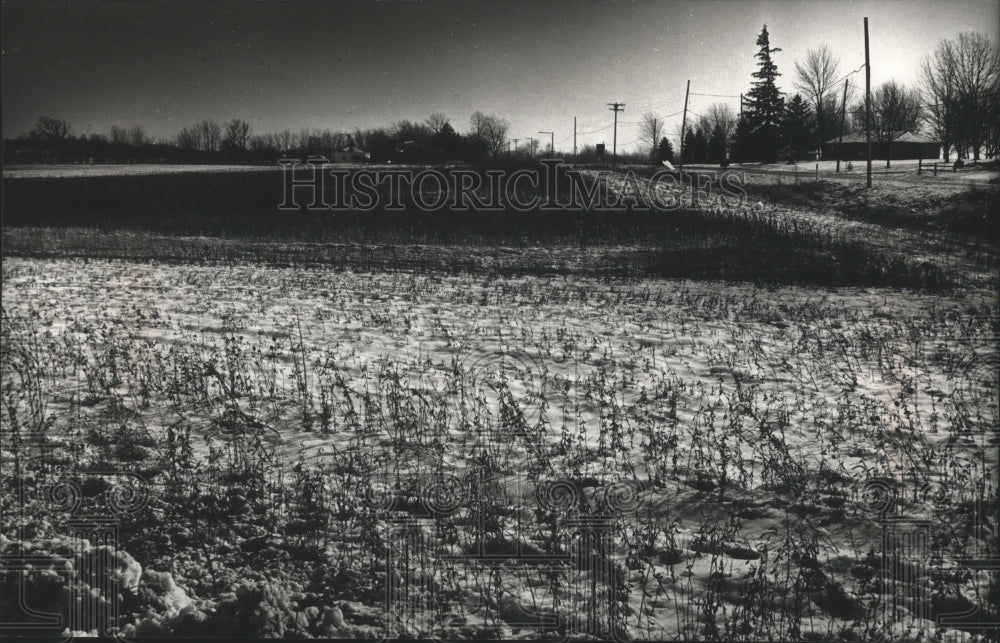 1989 Field next to the Nightingale where a race track could be built-Historic Images