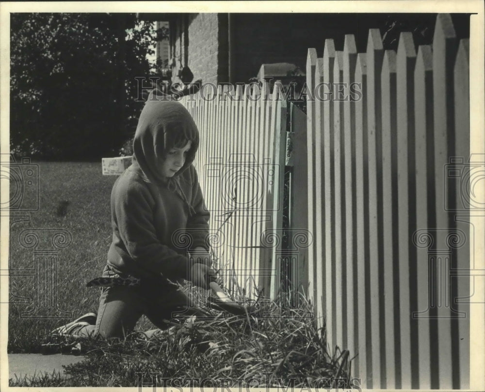 1985 Press Photo Charlie Mayhew pulls grass around fence, Newburg, Wisconsin - Historic Images