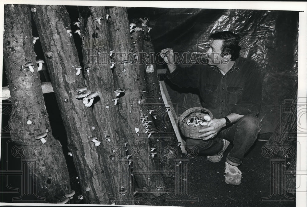 1989 Press Photo Ken Kreuger tends his shiitake mushrooms in Mosinee, Wisconsin - Historic Images