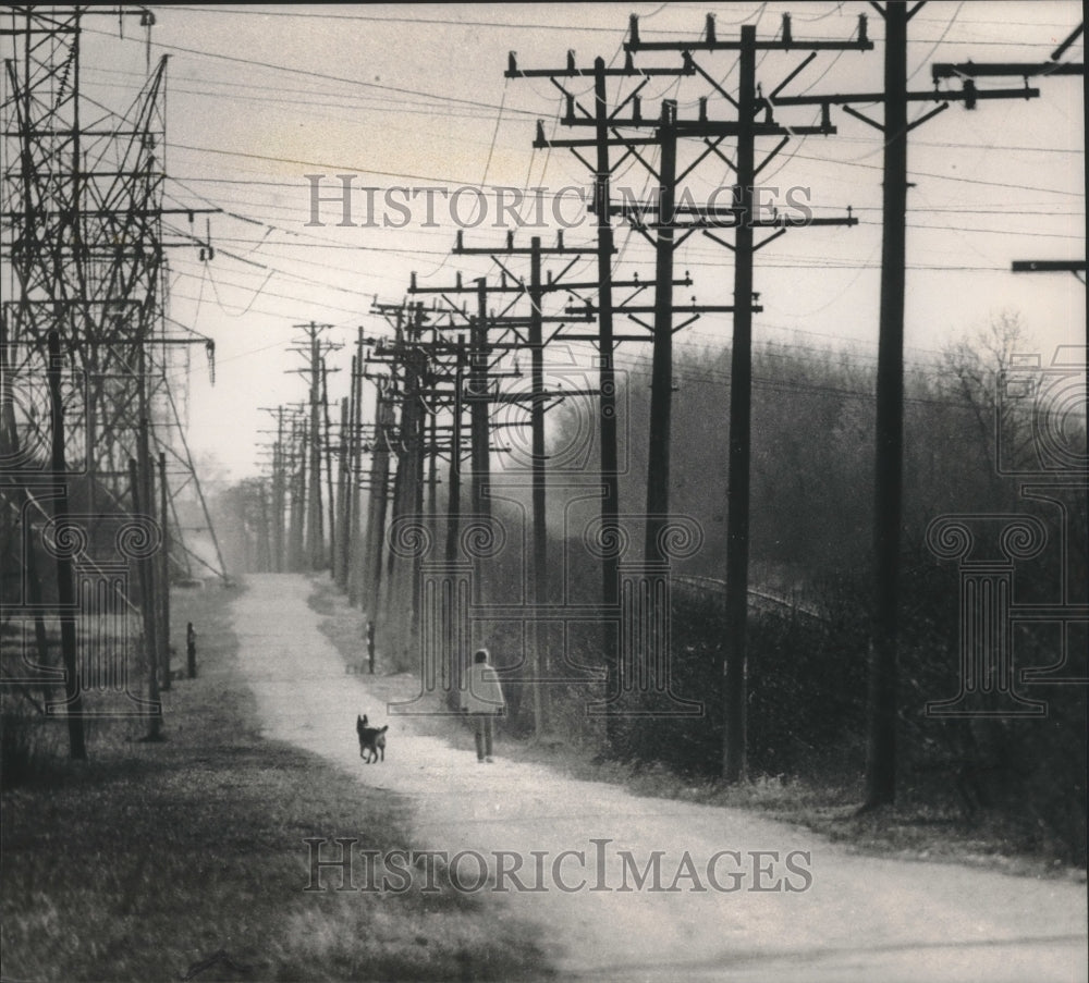 1989 Press Photo Hiker and dog walk section of New Berlin Recreation Trail - Historic Images