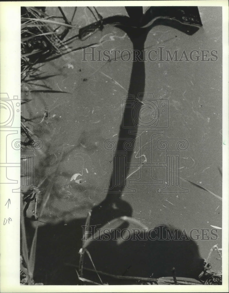 1983 Press Photo Milwaukee Nature Preserve, shadow of shovel - mjb71827 - Historic Images