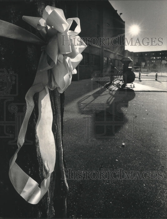 1992 Press Photo Ribbon for Monique Hodgson at Palmer School playground - Historic Images