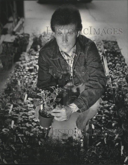 1983 Milwaukee Gardener Bob Orcholski among flower flats-Historic Images