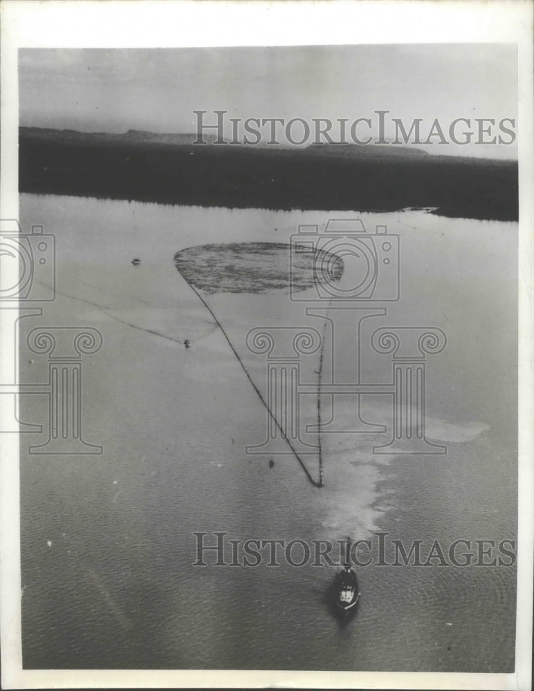 1947 Press Photo Cut logs in Lake Superior are towed to the mills in Canada - Historic Images