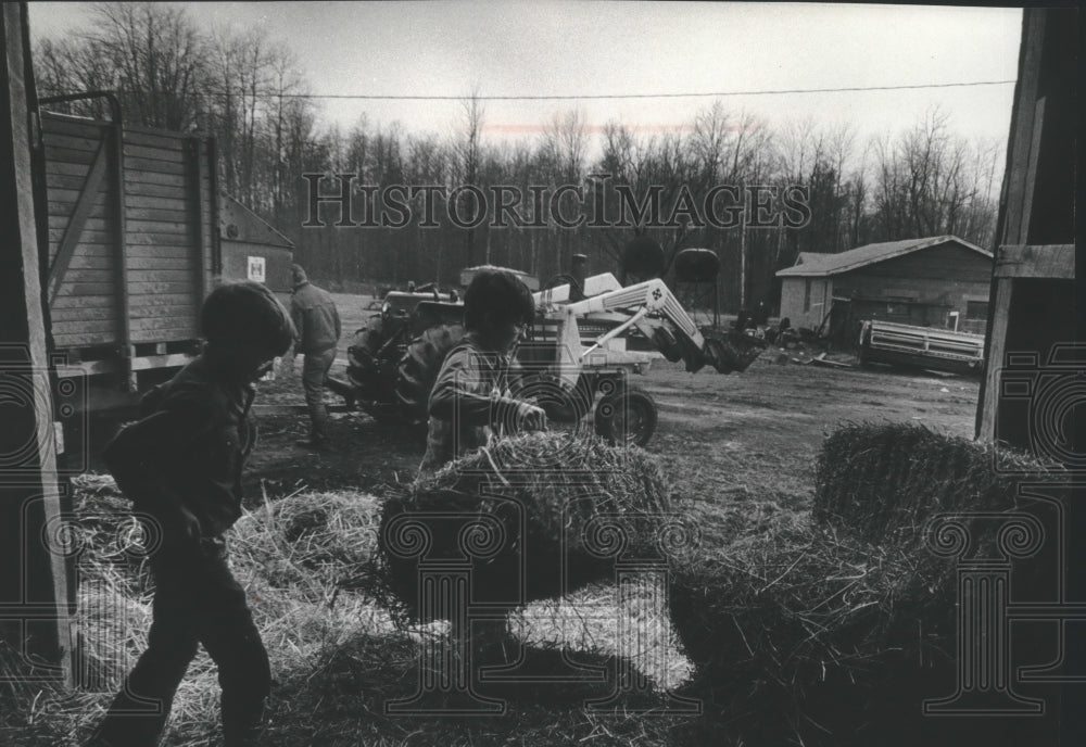 1978 Press Photo Wisconsin farmers worry about long-term effects of PBB exposure - Historic Images