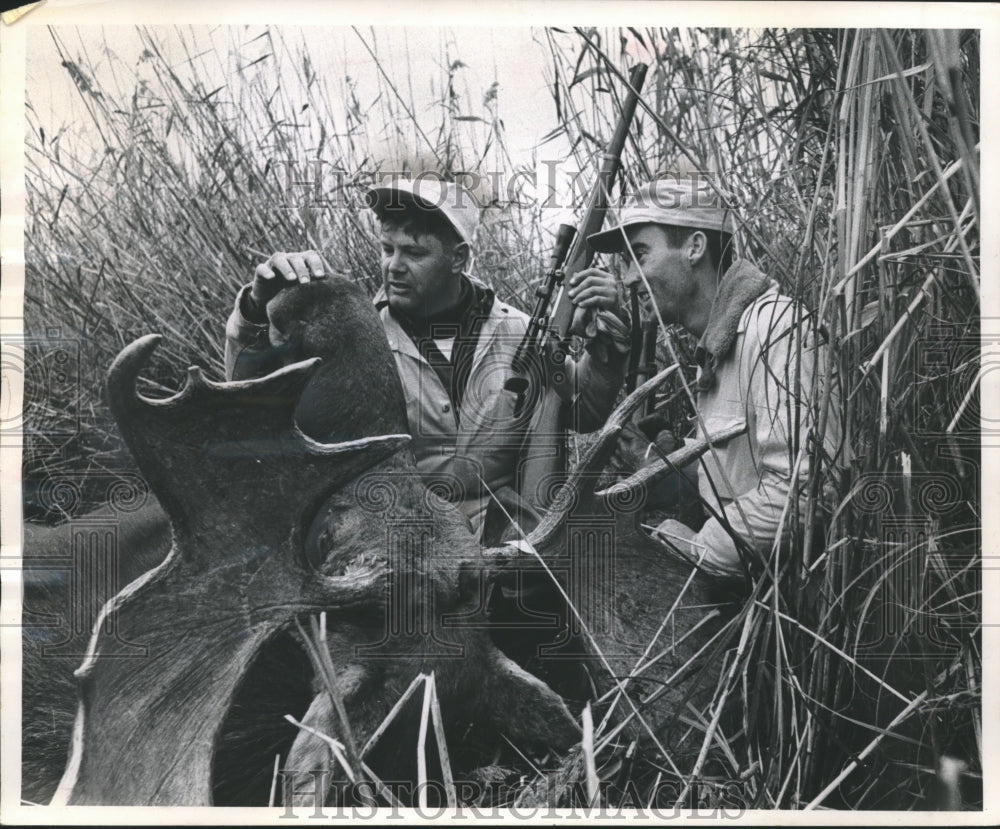 1964 Press Photo Doc Johnson &amp; Bruce Shier, Trophy moose, Saskatchewan, Canada - Historic Images