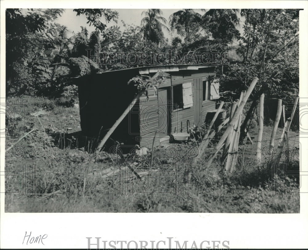 1988 A small, roadside home in the Blue Mountains of Jamaica-Historic Images