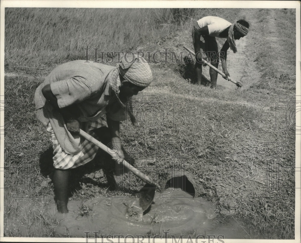 1963 Press Photo East Pakistan, farmers dig a channel to their farms for water-Historic Images