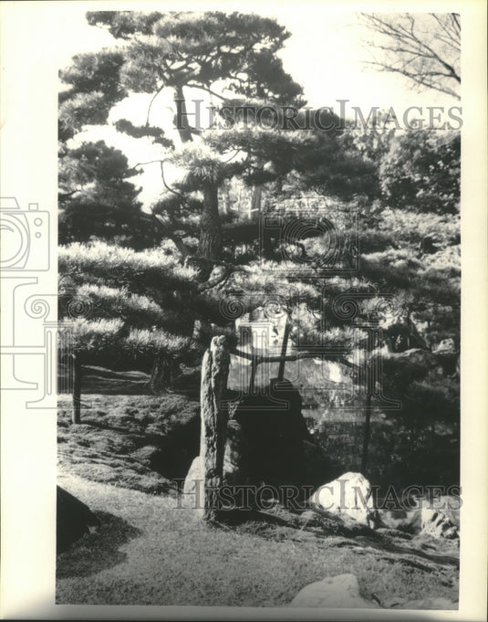 1982 Public gardens in Japan-Historic Images