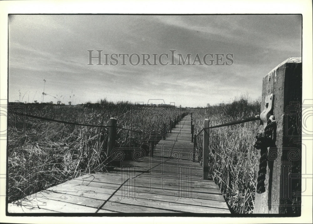 1981 Press Photo Bridge leading through Horicon Marsh - mjb76186 - Historic Images