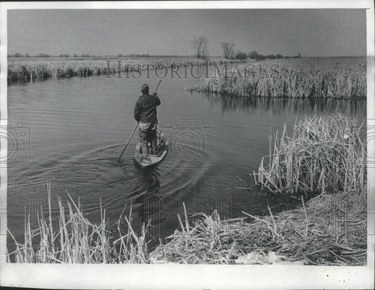 1977 Press Photo Trapper poles his boat through Horicon Marsh Wisconsin - Historic Images